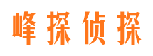 桓台找人公司